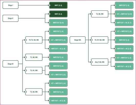 Algorithm&nbsp;Recommendation&nbsp;Governance Nasopharyngeal&nbsp;Carcinoma . 