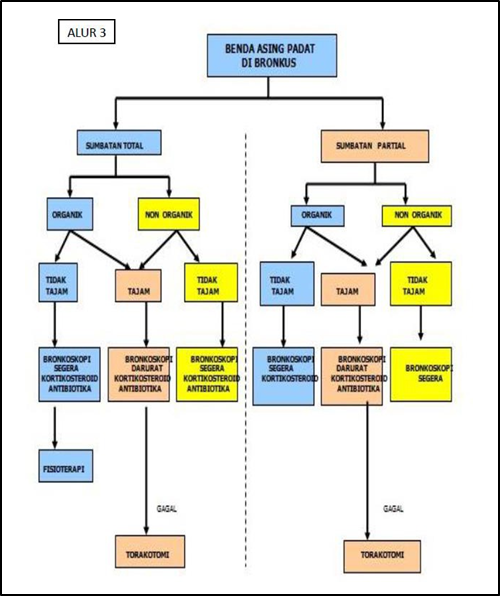 Picture 2.4 Charts governance object foreign in the bronchus. 3
