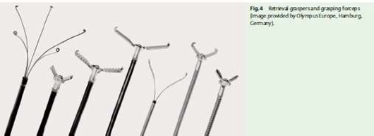Picture 4. Devices endoscopy depicted from left to right: Tripronge forceps, alligator forceps, bipronge forceps . 23