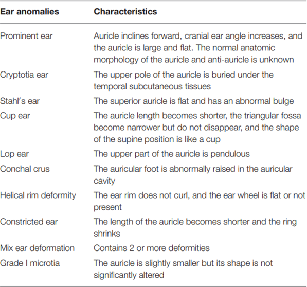 Table&nbsp;2. Classification&nbsp;Anomaly&nbsp;Ears.