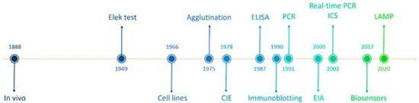 Picture 5. Detection toxin diphtheria in history. 30
