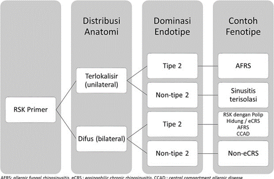 Picture 2.5 Classification of Primary Chronic Rhinosinusitis
