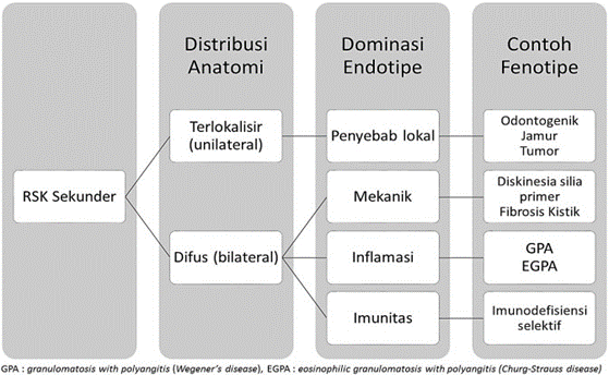 Picture 2.6 Classification Secondary Chronic Rhinosinusitis