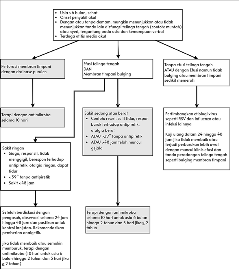Figure 11. Summary Management of OMA 10 .